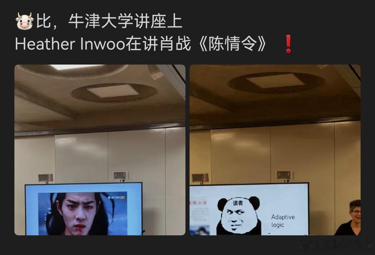 牛津大学讲座上，讲肖战，我的个天 