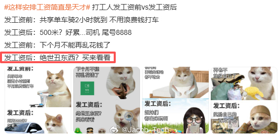 这样安排工资简直是天才 我的天，刚发工资是什么的报复现场吗？丑东西都要买来看看吗