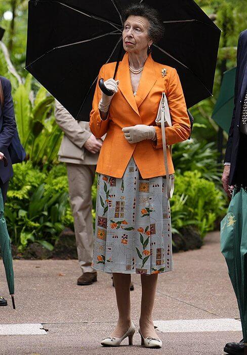 扒拉扒拉一期贵圈老太太时尚来发一下，刚好11月过半多一点~

前阵子英国安妮公主