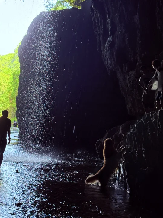 董炳村攻略｜和小狗一起体验一次溶洞探险吧