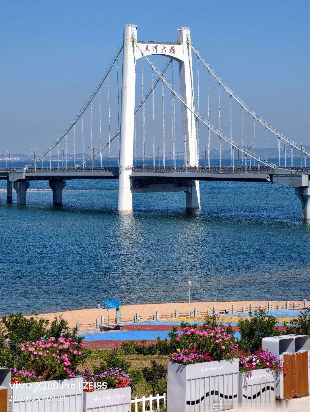 六月，年之将半，盛夏已来。愿有前程可奔赴，亦有岁月可回顾。 