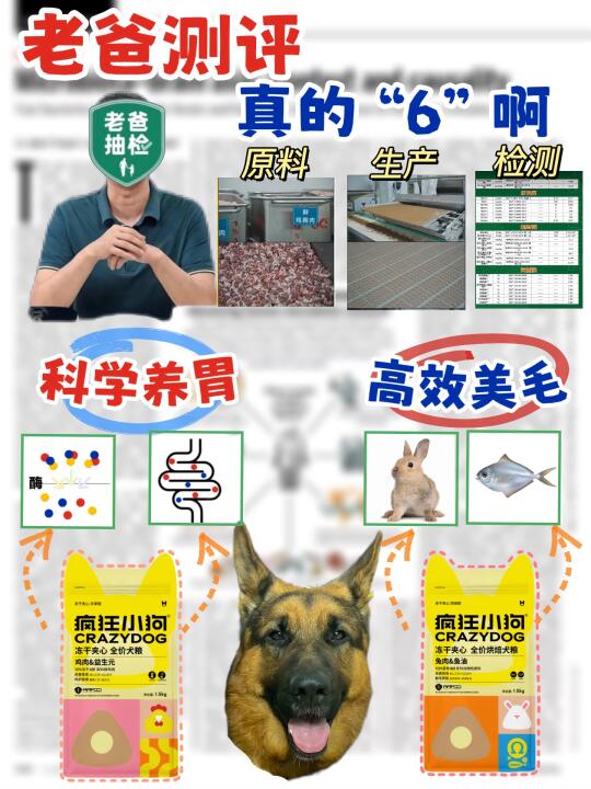 疯狂小狗狗粮2年试吃官现身说法