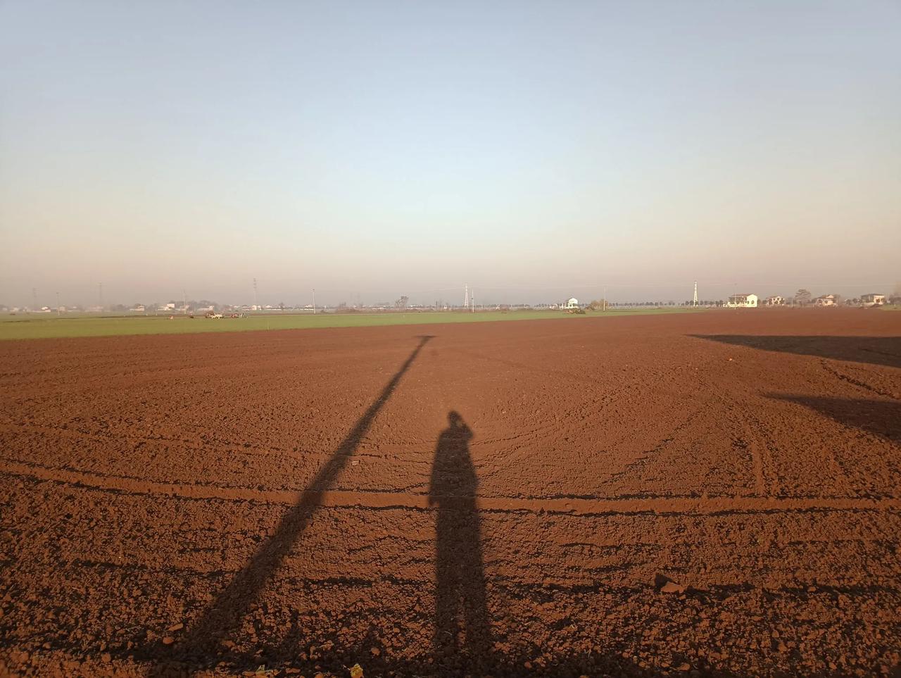 调整种植，涝灾不减收入！
   河南省豫东一农村的农户，经过土地流转的土地，秋季