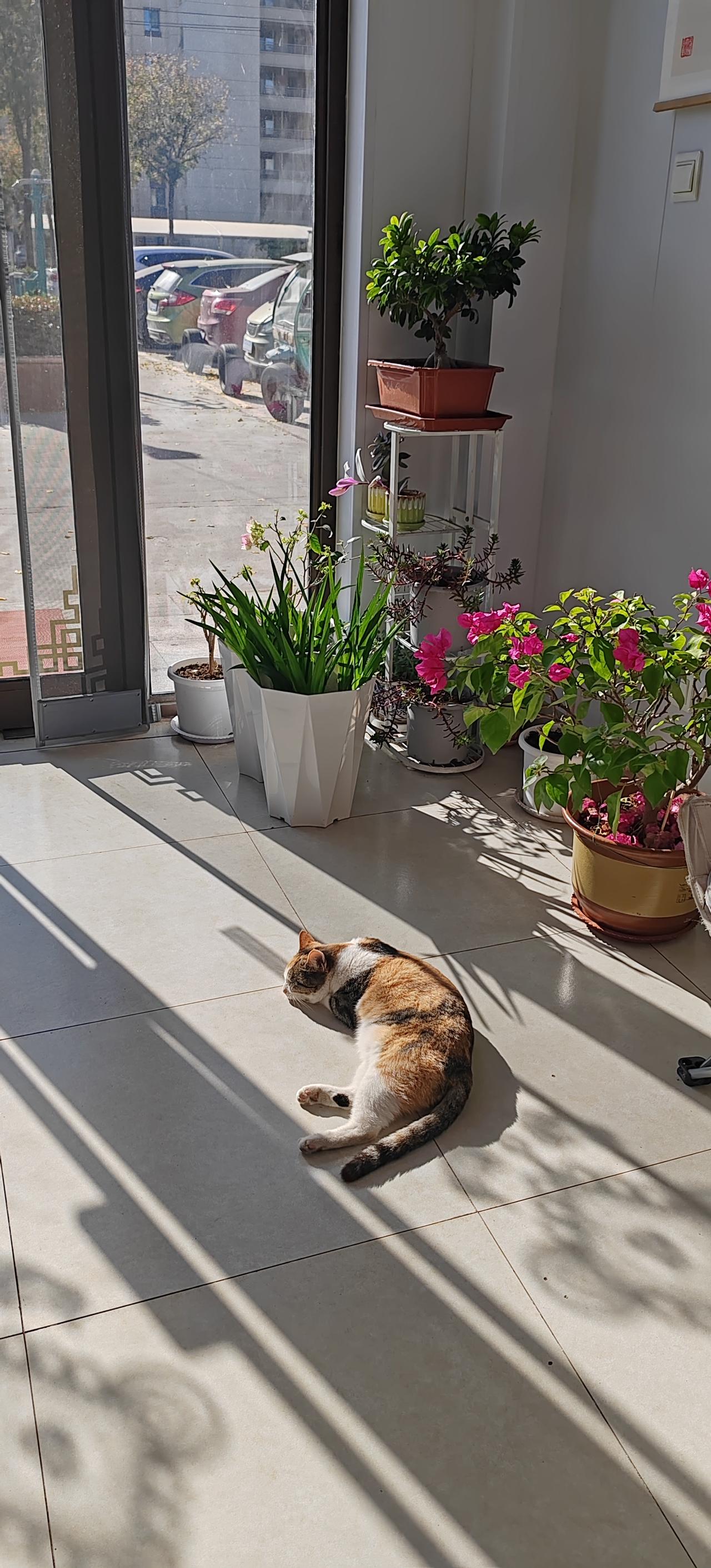 你的爱好，是爱还是杀？
很多人都明白了一个道理，就是生活本身就是一场修行。在不同