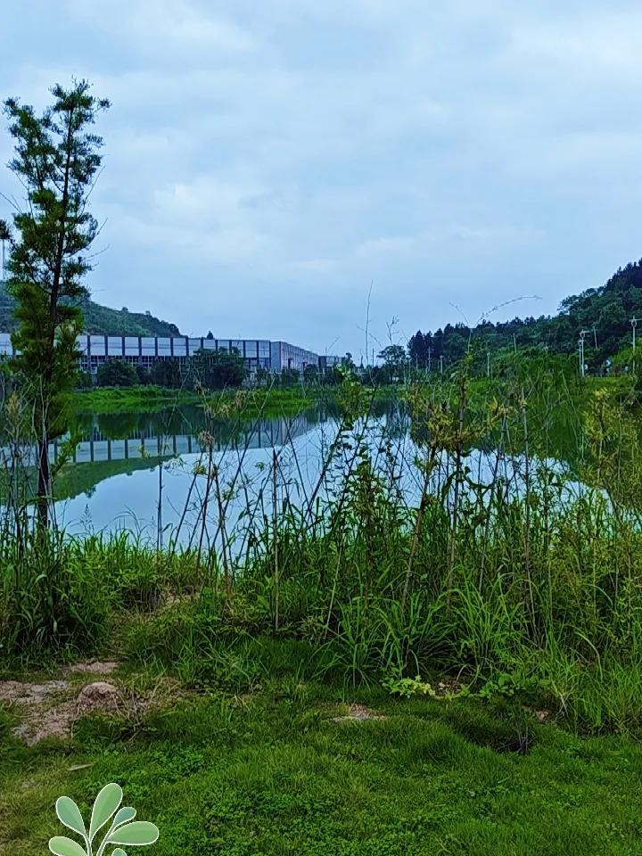 山清水秀的地方