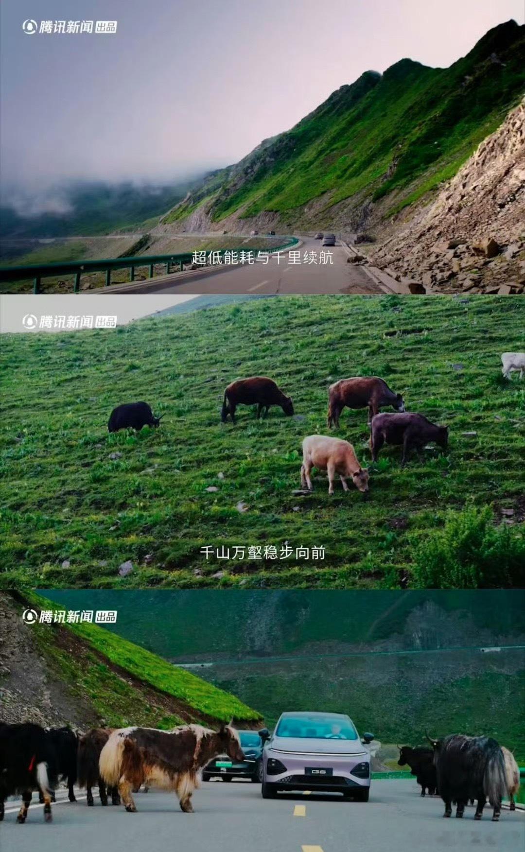 小鹏G6这次山区长途实测结束，还是挺有看点的。特意选了雅安海拔两千米的临崖急弯山