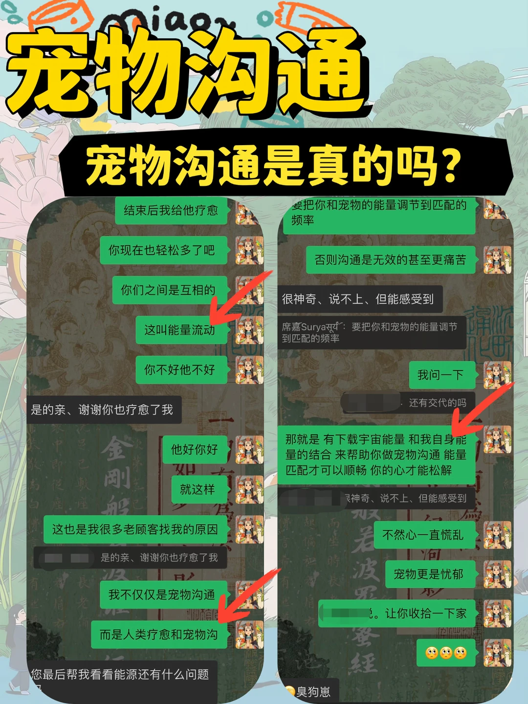 宠物沟通｜毛孩子离开你，你有遗憾吗？