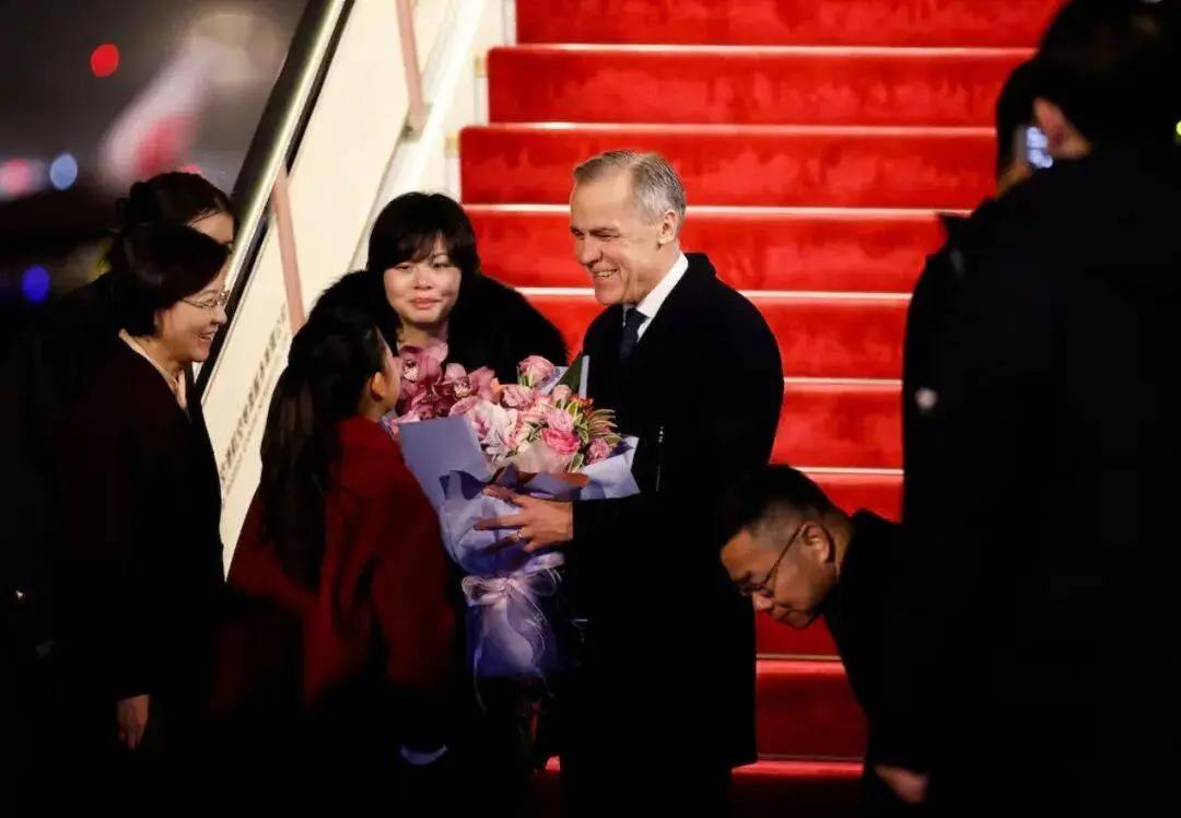 在特朗普肆意展现美国的霸道时，世界各国领导人纷纷来中国取暖，寻找确定性，这是彭博