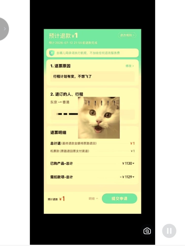 拼多多好评返现一单都比飞机退票给的多…… 