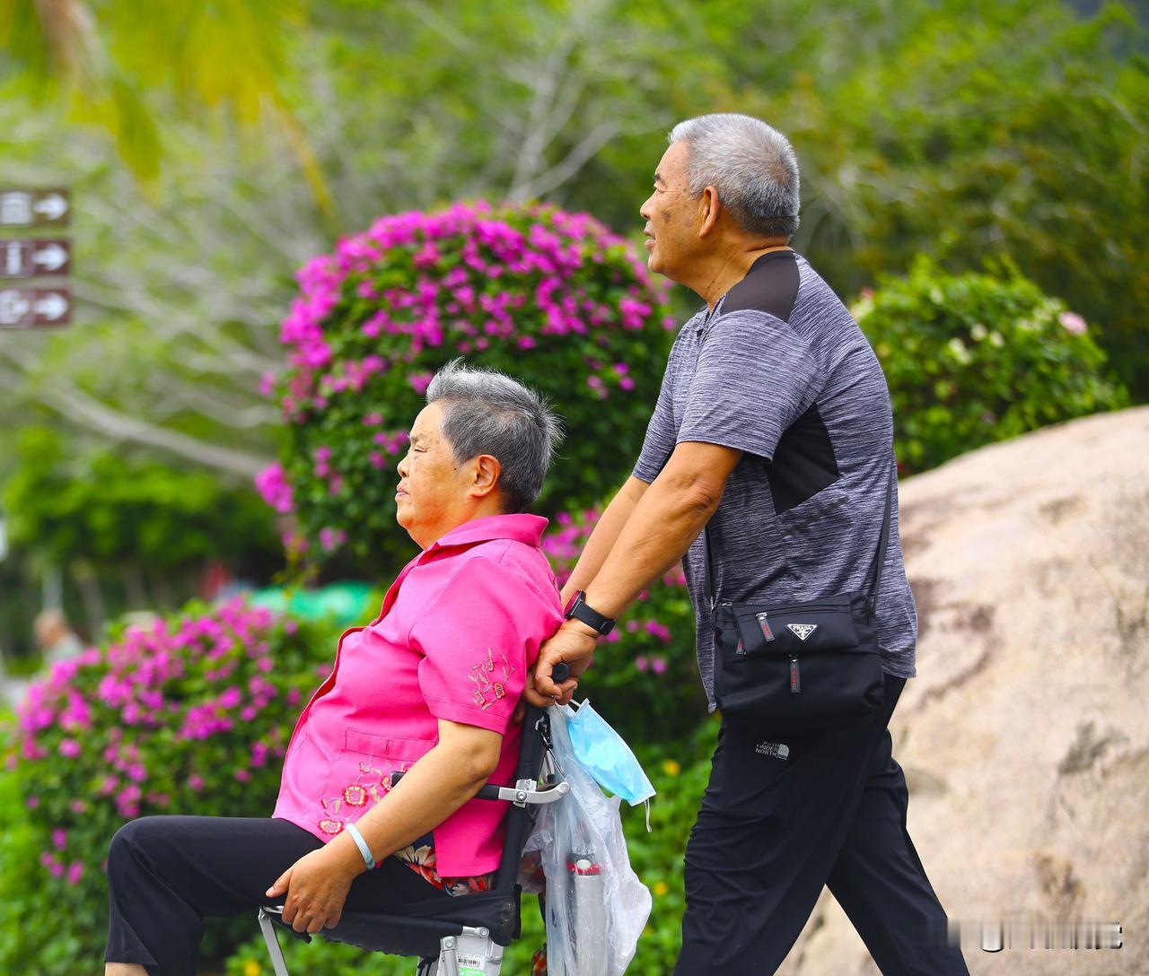 秋日好时光随着重阳节的来临，登高望远、外出旅游日益成为“银发族”过重阳的重要方式