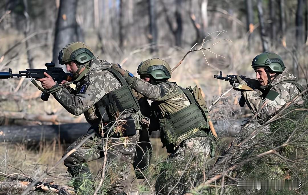 乌克兰不用再纠结割地求和的事情了，实际上，俄罗斯自己就能把顿巴斯打下来！

俄罗
