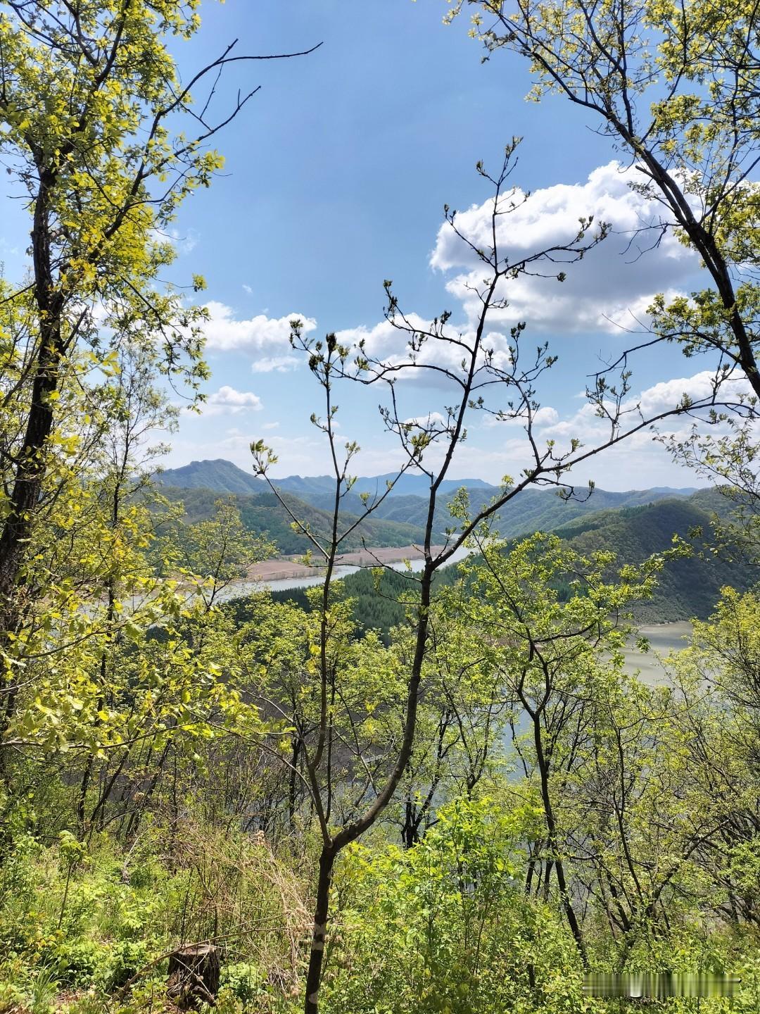 五月的鲜花开满了大地，一切都欣欣向荣！空气中充满了新鲜的味道，我一个低谷之人感受