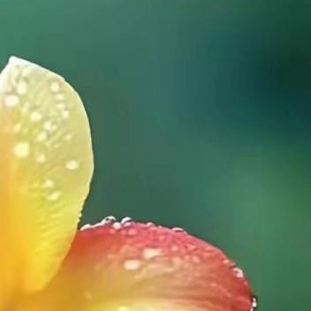 正能量人生没有什么定数，不折腾，时间同样会过去，所以，去做总比不做好，开始总比放