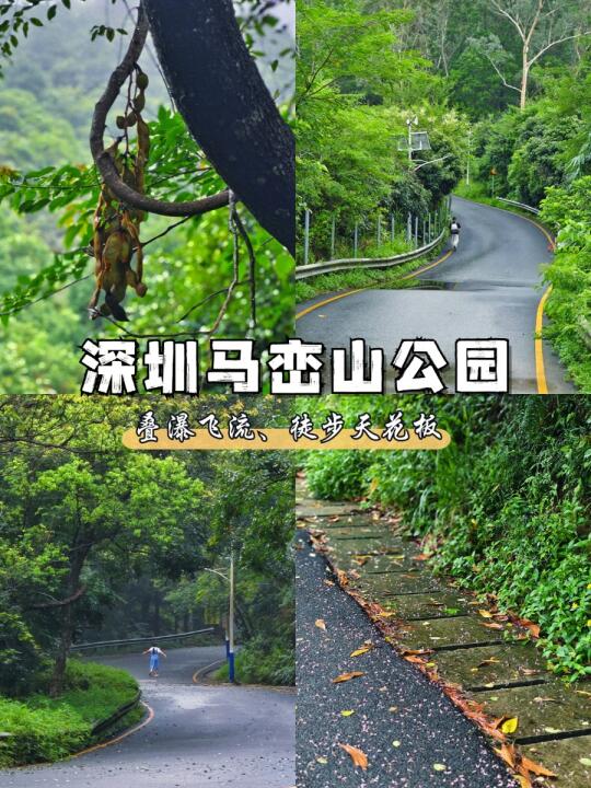 现在去打卡深圳马峦瀑布🫧太合适了