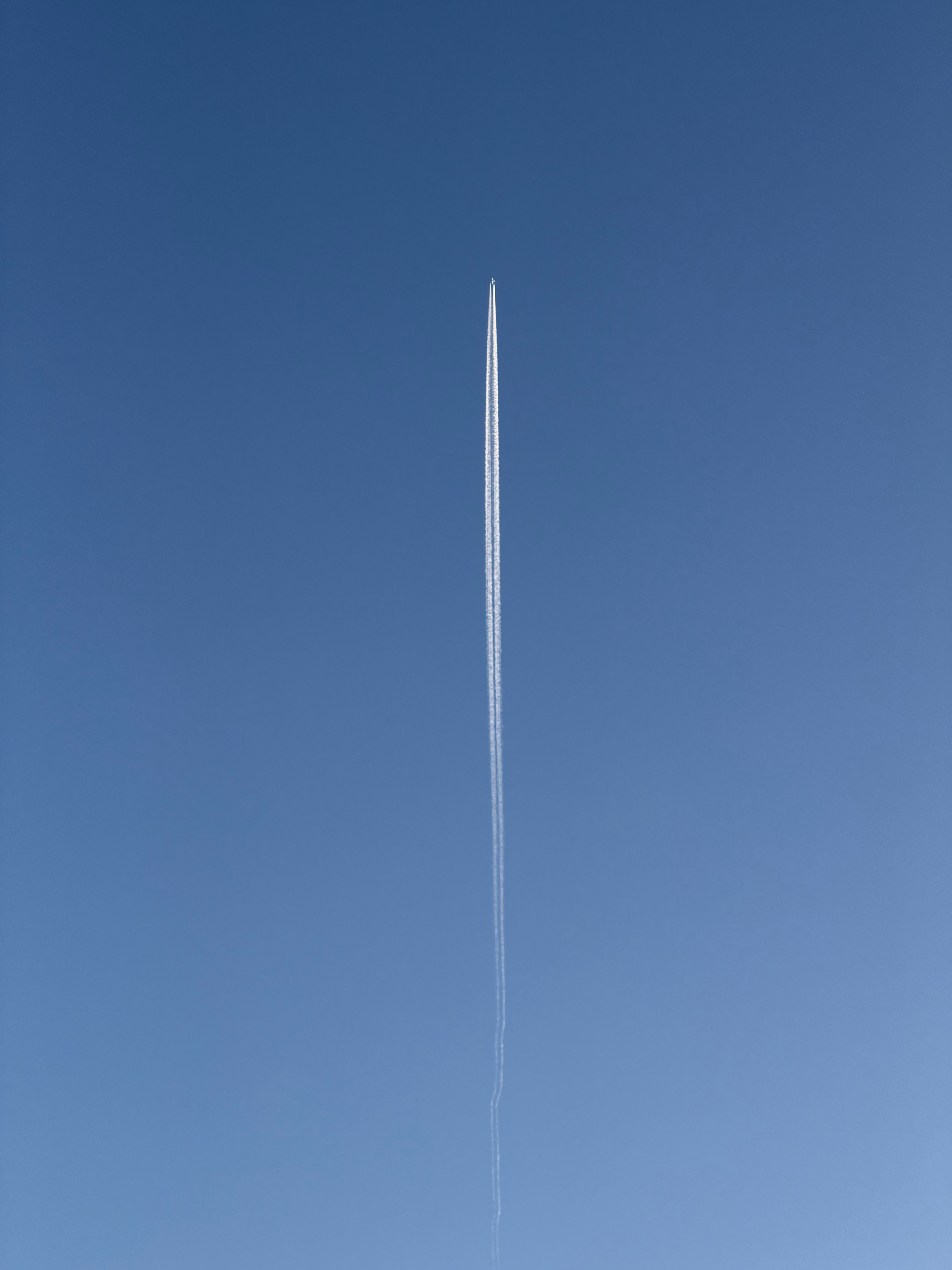 都向往自由，可偏偏自由最难的