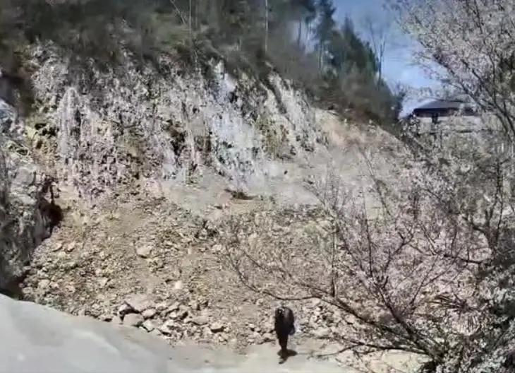 “匪夷所思！”重庆，一位60岁男子独自在家生活，突然人间蒸发两个月，家属发现男子