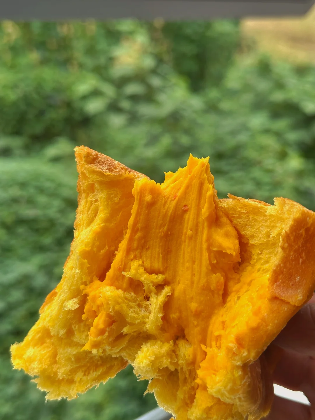 秋天是金贝贝南瓜回归的季节，北京国际面包节 南瓜系列如图👇，金贝贝去...