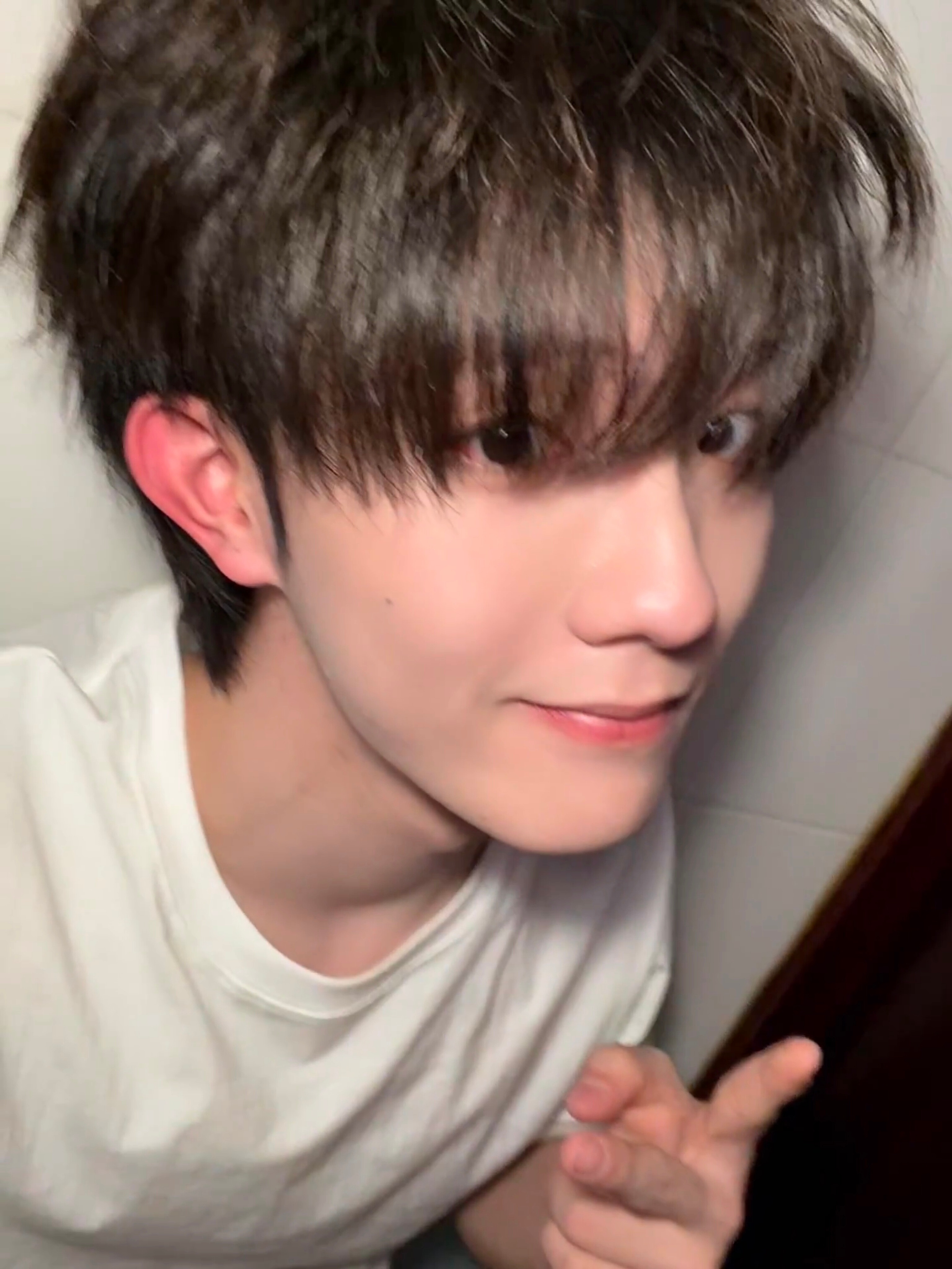 苏新皓说晚安💤 