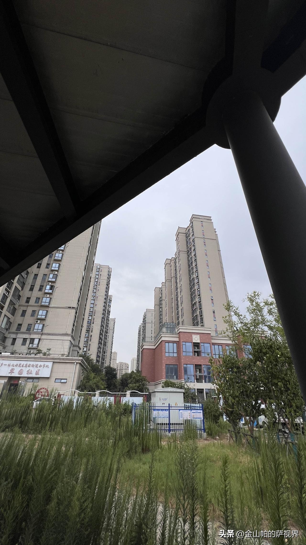 前些天手机掉地上，屏碎了，去修。修手机的小伙子是个年轻人，头发染得跟鹦鹉似的，看