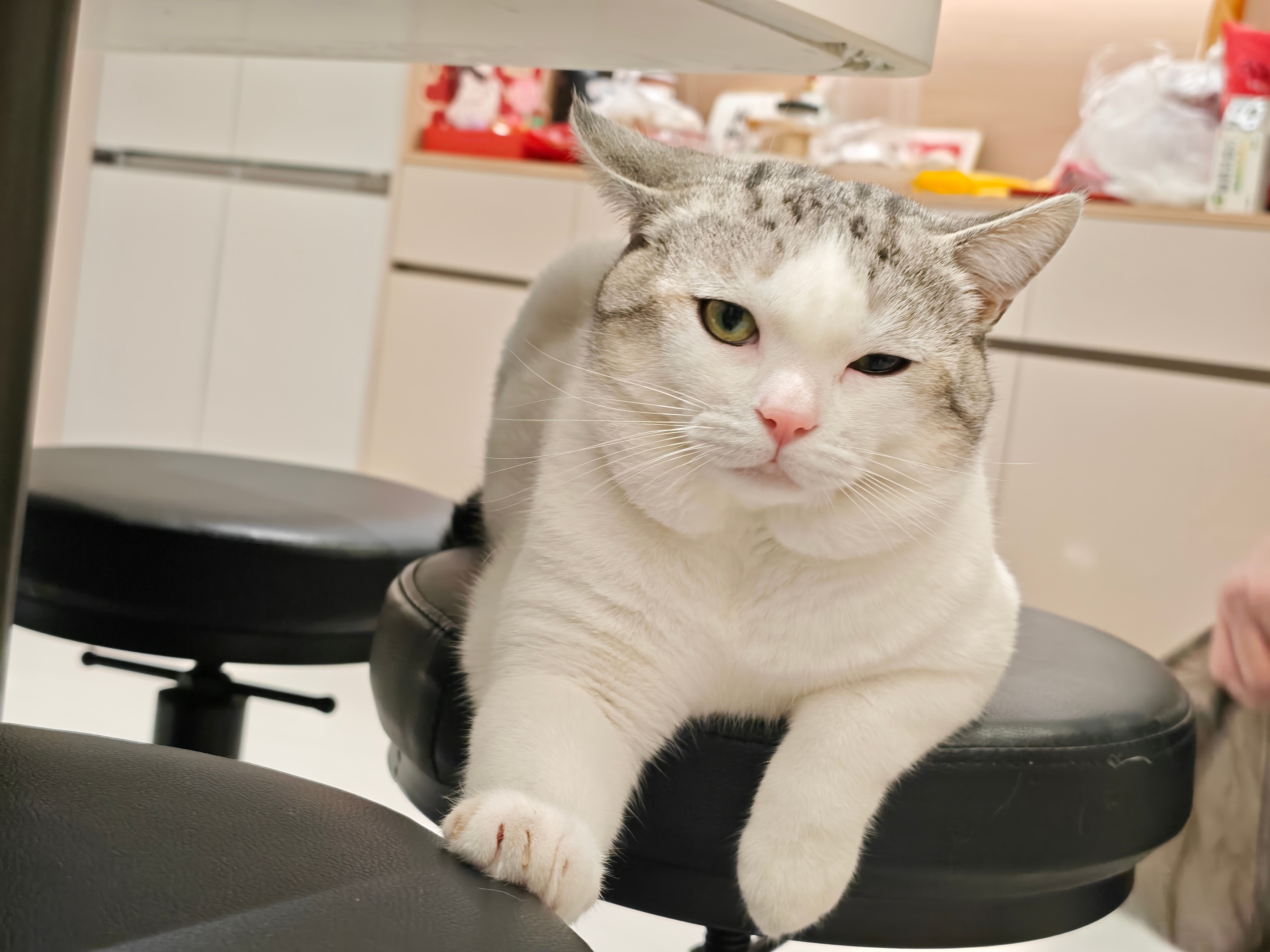 大晚上还能听到家事，而且几乎是三方在那边吵架那种简单来讲就是我的舅妈经常私下跟我