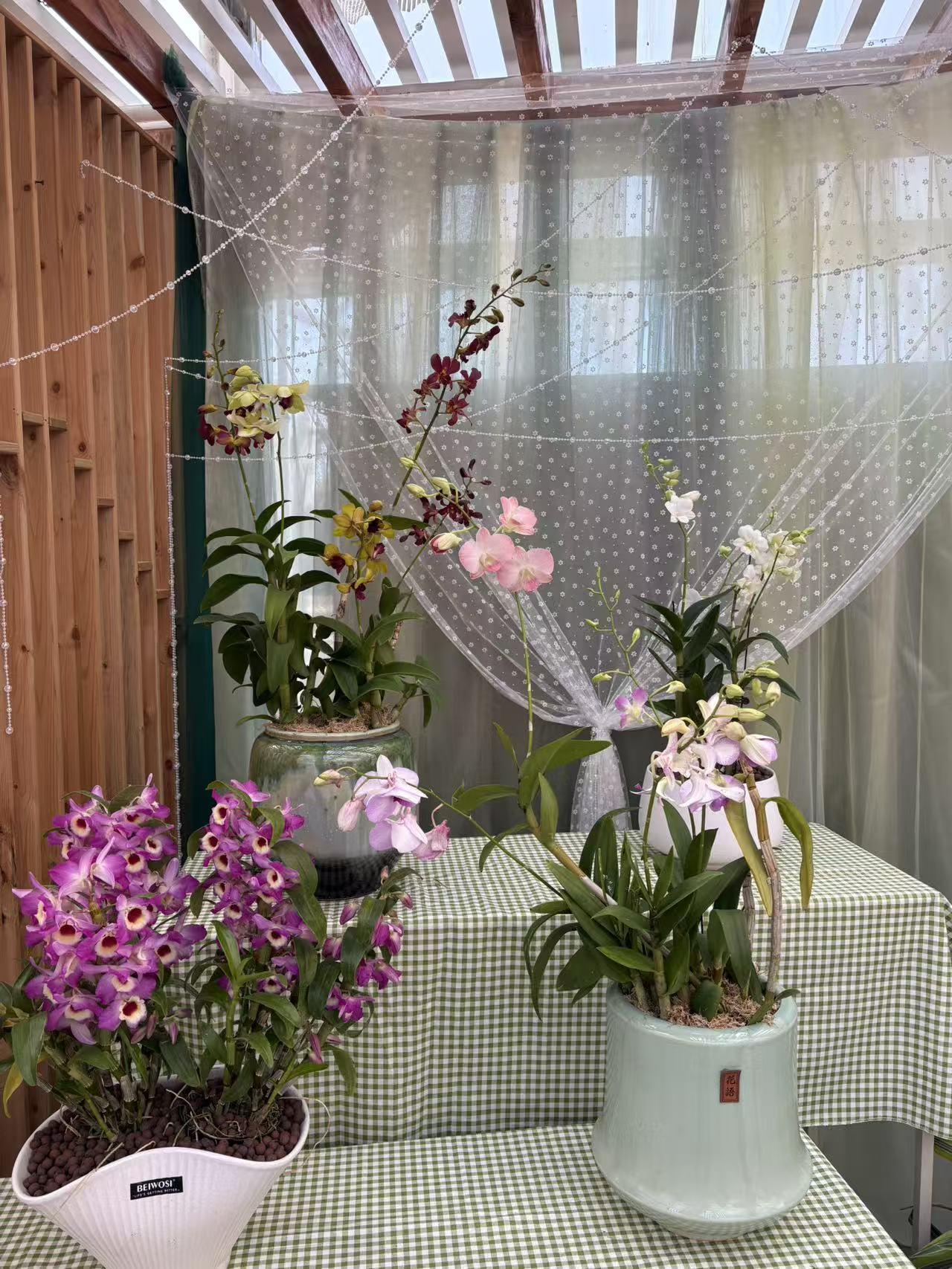 晒图笔记大赛景山公园花卉展