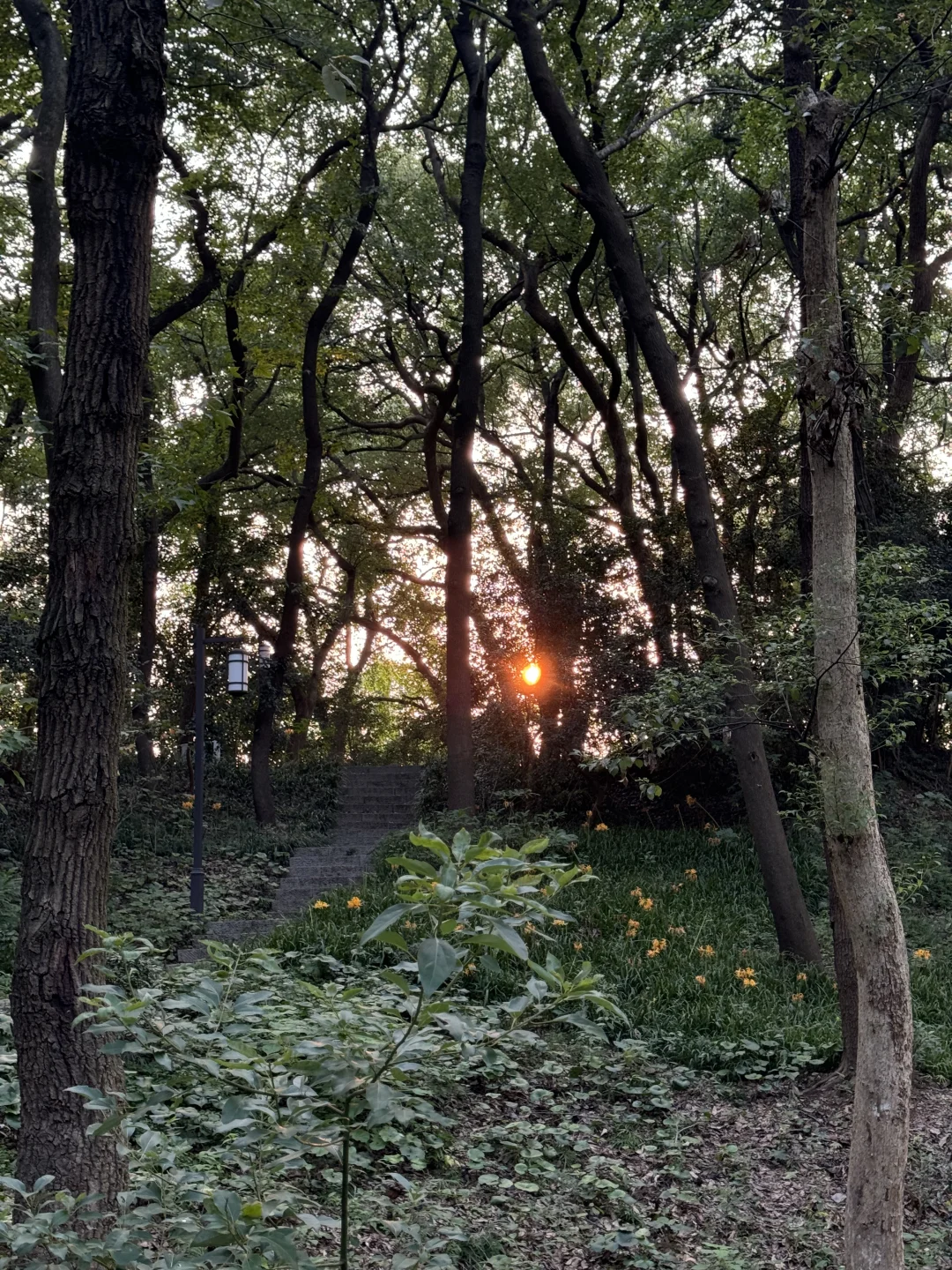 出门捡秋去咯🍂杭州的周末也很充实✨