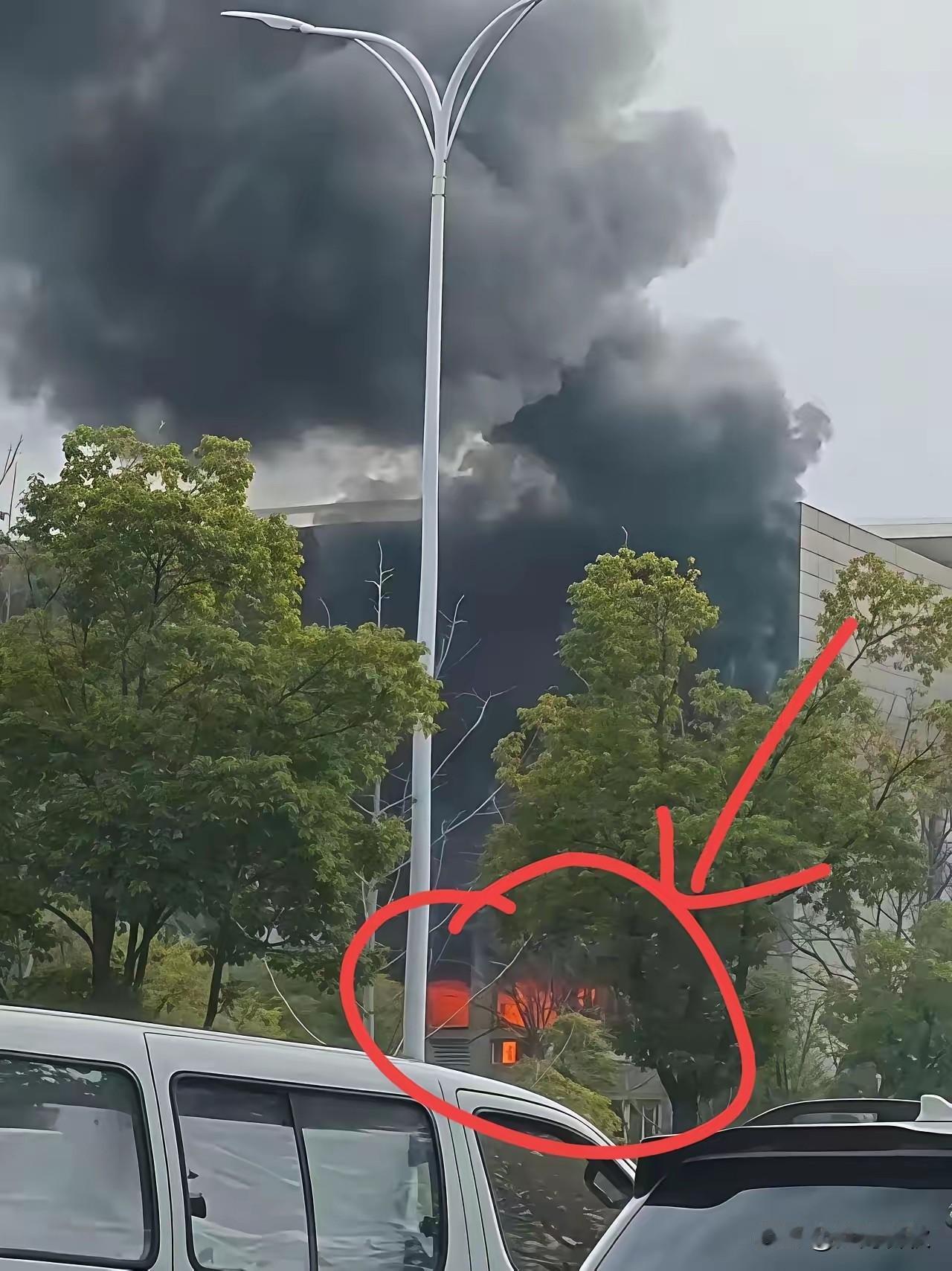 火也是有情商、懂利益的
光烧账本不烧藏品
这账算得明明白白
账本没有了还可以再造