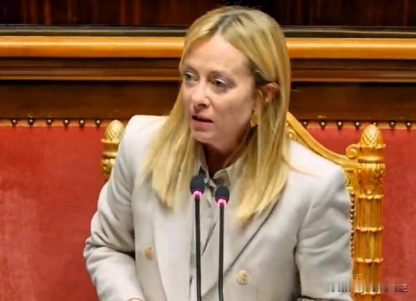 意大利总理梅洛尼强硬回应，“动用俄资产须要有坚实法律基础，否则将成‘送给普京的胜