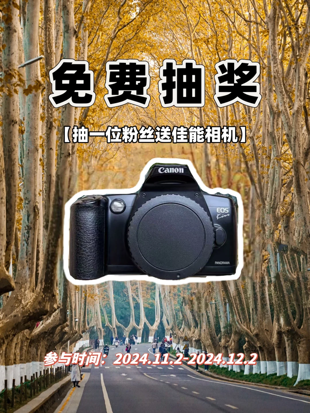 11月宠粉福利来啦！佳能相机📷免费送‼️