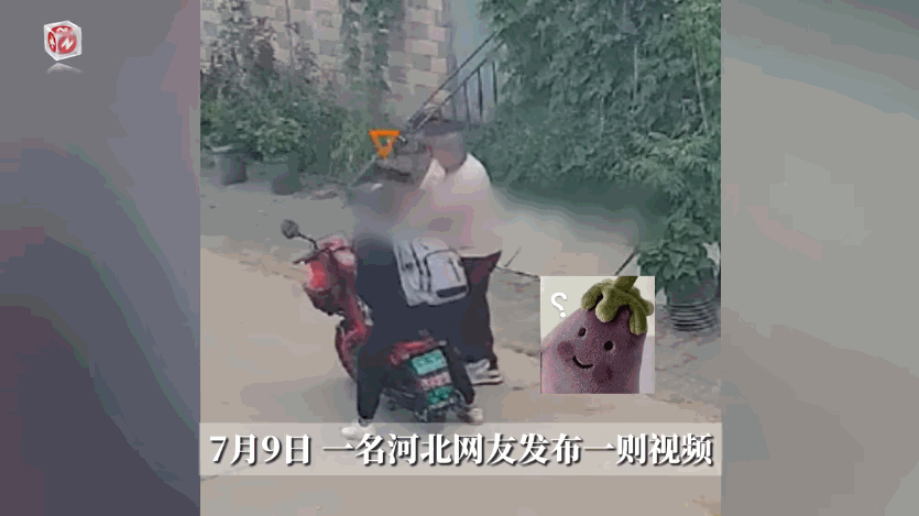 “太尴尬了！”7月9日，河北，一对夫妻骑车路过邻居家时，看到门口的苦瓜长得非常不