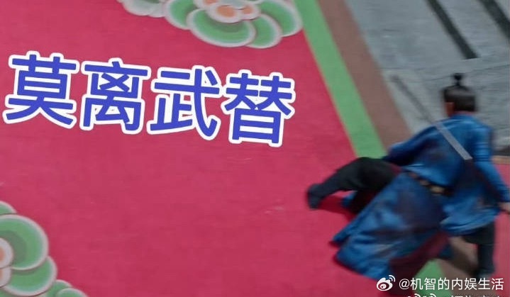 哪部剧没有替身？哪部有打戏的剧没有武行，白鹿在莫离之前就有出圈的打戏啊，非常英气