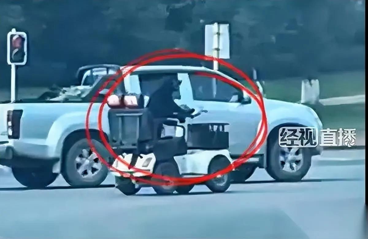 拉布拉多开车上路？

视频热传引争议！

一只拉布拉多前爪搭方向盘“驾驶”代步车