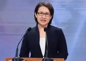 “台独”分子萧美琴发表声明，

9月14日，台湾地区副领导人萧美琴结束窜访意大利