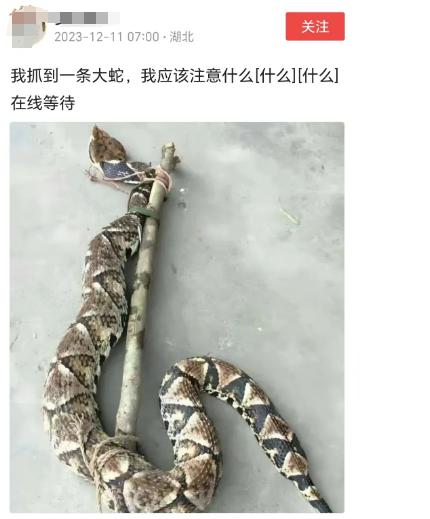 “遇到五步蛇，要注意数步数，一二三四...一二三四.......”
这位网友，你