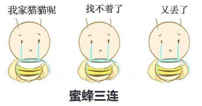 分享图片