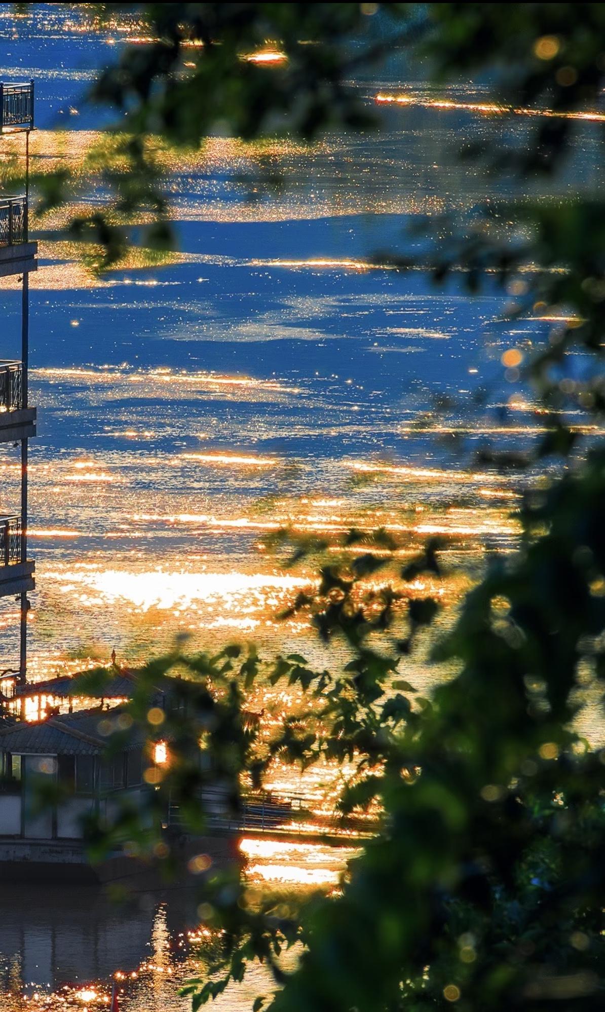 人到了中年，
蕞大的心酸，是
你拼尽全力扛着所有风雨
却连一个能放心哭的地方都没