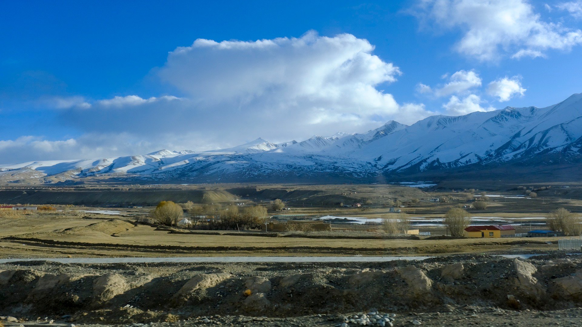 热血新疆e起来  新疆旅行  太想去新疆过冬，无比广阔的大地被白雪覆盖，花草在冰