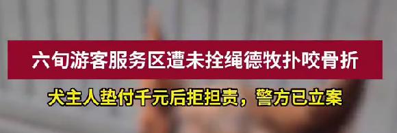 老人被德牧2次扑咬进ICU 狗主人知手术费2-3万后失联
最近看到一则让人又气又