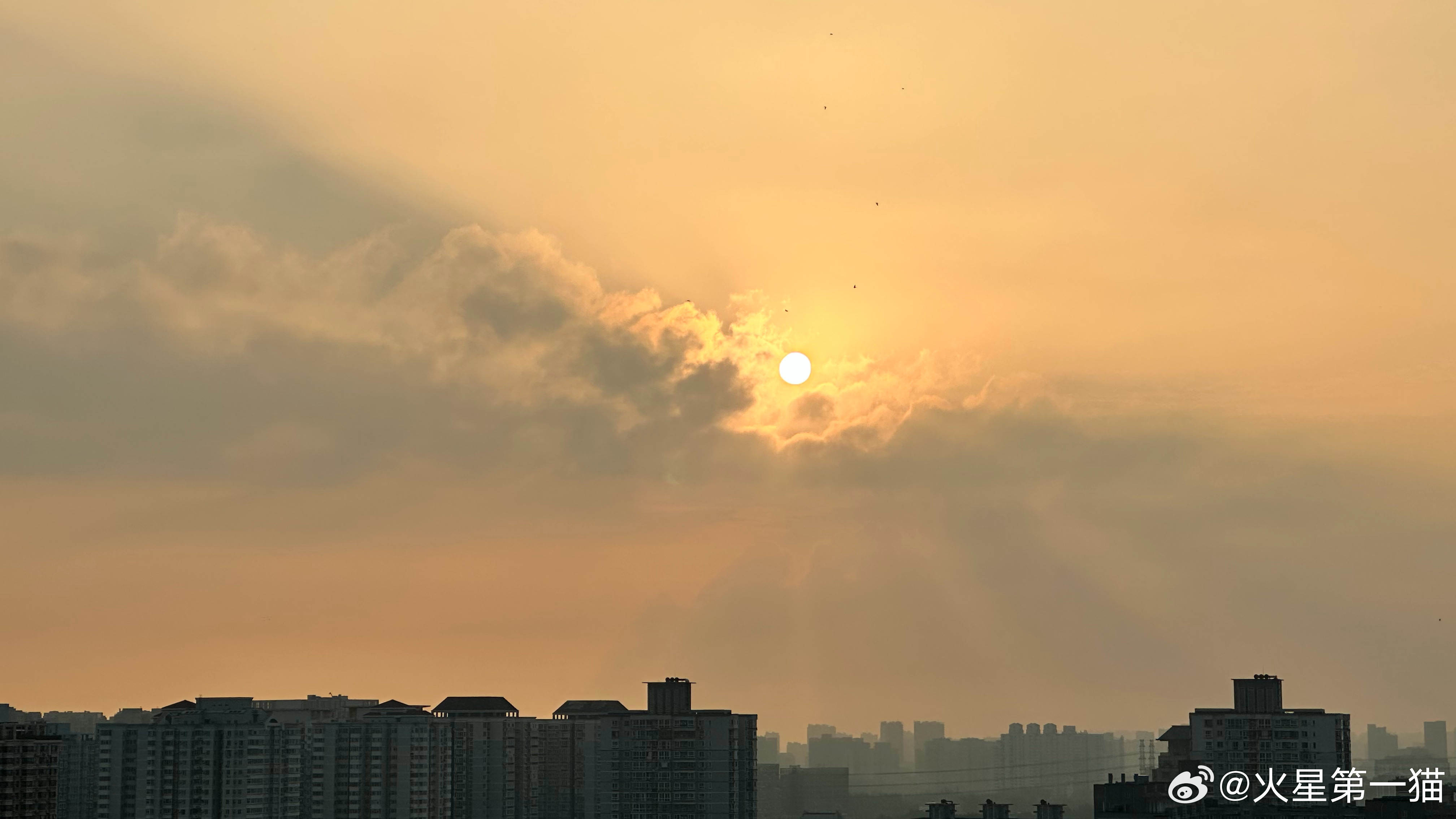 5:38 半亩方塘一鉴开，天光云影共徘徊。丁达尔效应与火星第一猫一起早起看日出