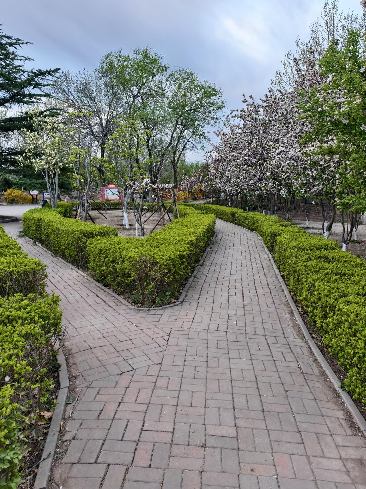 清晨，公园遛弯随手拍，最美的春季定格瞬间！