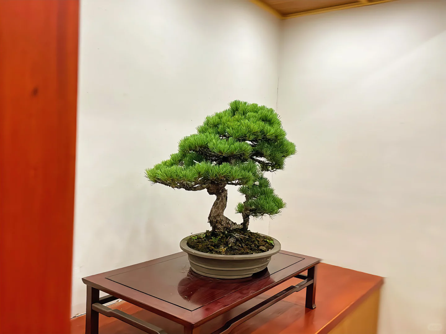 人生在世，确需寻得一物，以真情投入