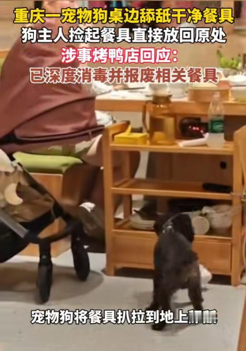 恶心坏了！6月15日报道，重庆一家烤鸭店，一只宠物狗扒上菜边置物架，拖拽、舔舐店