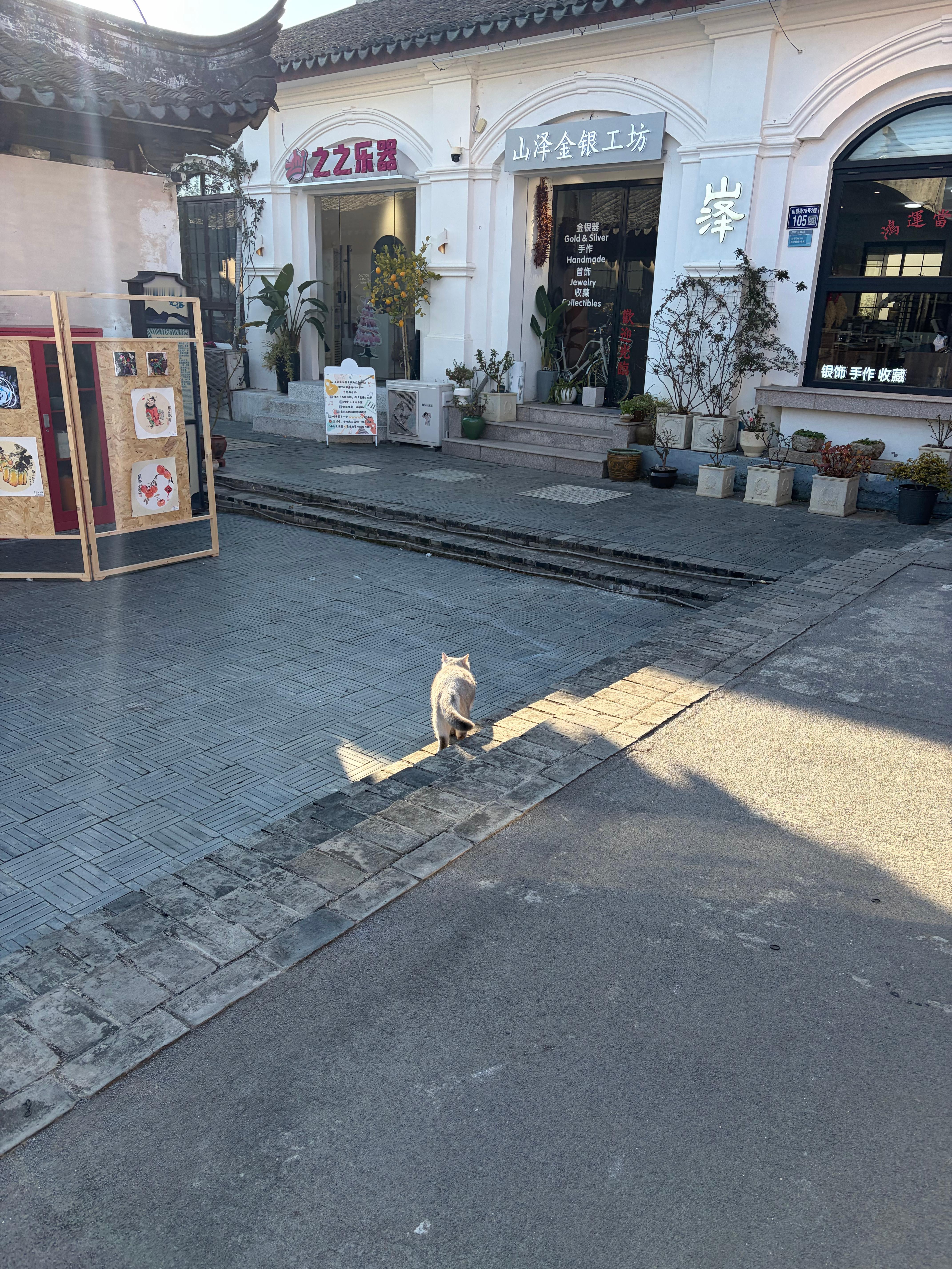 在同学的小院聚餐，偶遇一只小猫和一家银饰店。以前怂恿他们到苏州，但大部分都不愿离