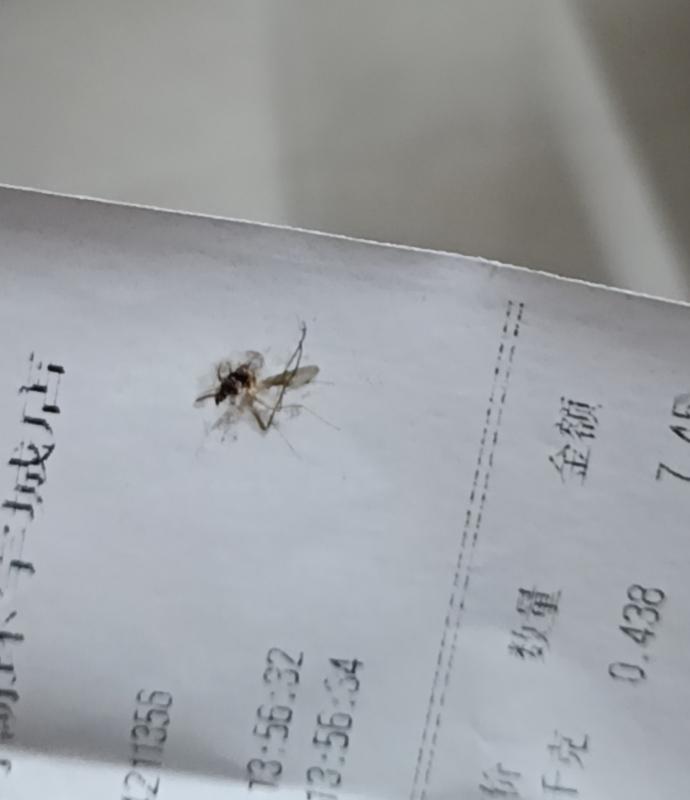 刚跟某某讨论了“人类防蚊灭蚊简史”这个题目，最后的结论是我们人类目前没有能力把在