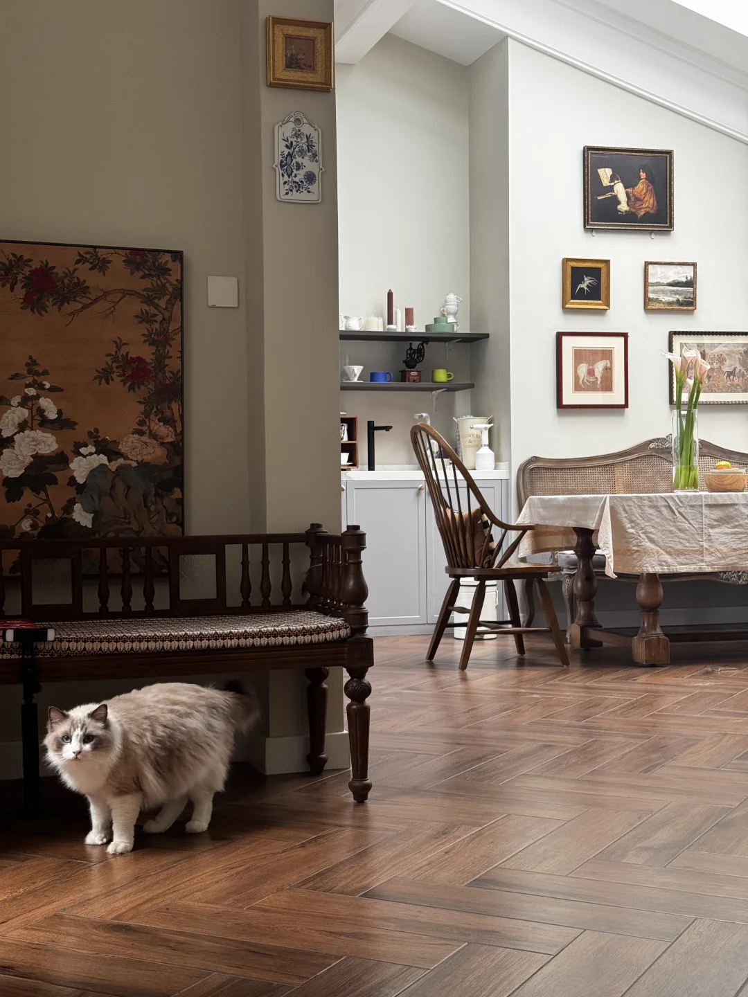 要是 晚上能像早上那么困就好了