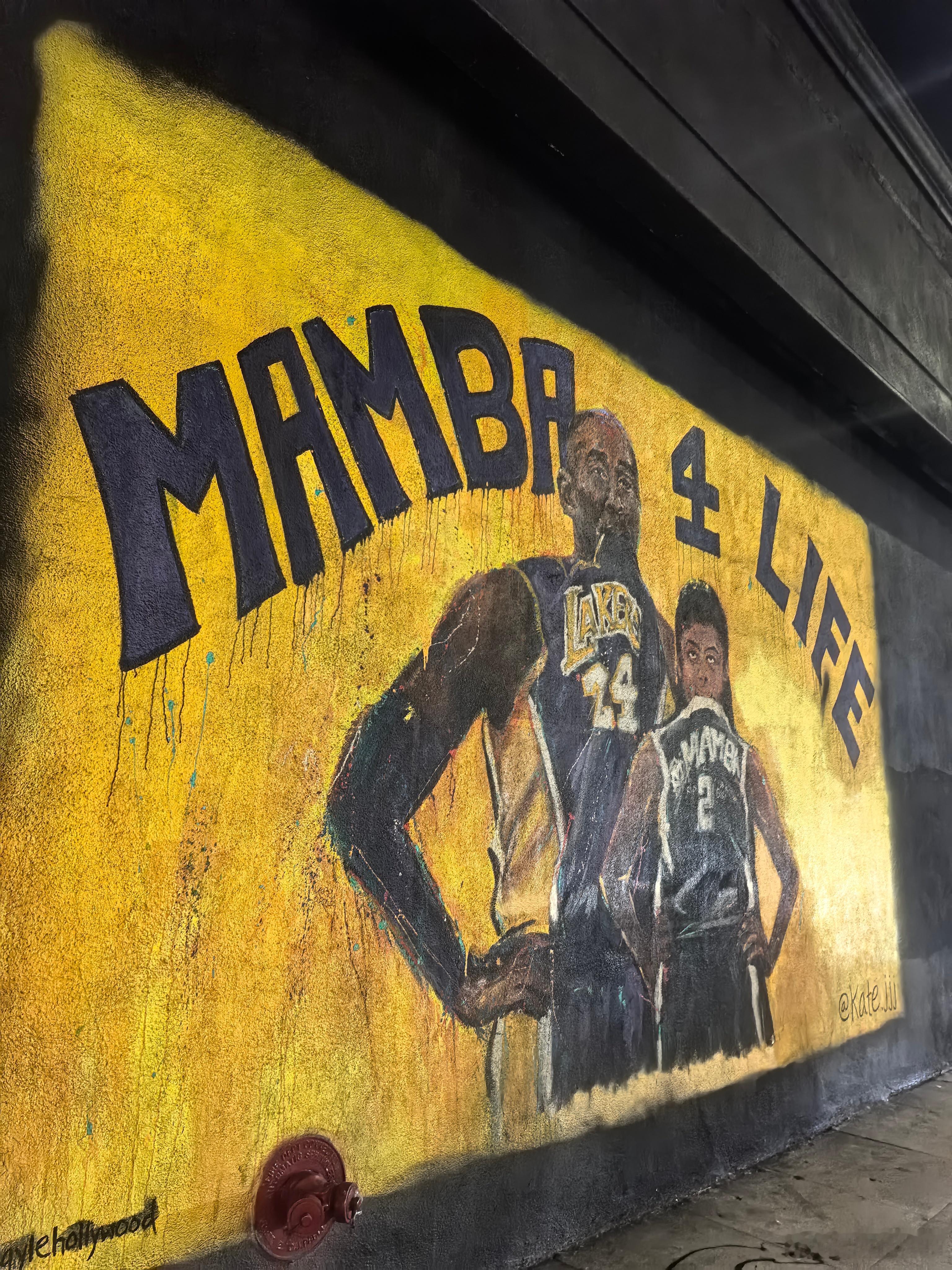 每天都在寻觅食物 