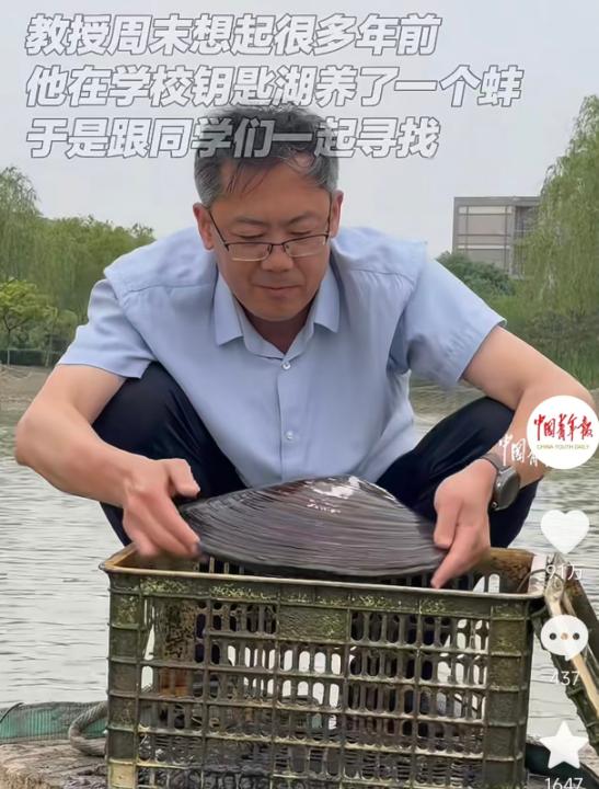 5月20日报道，天天津师范大学闫春财教授周末忽然想起，早年曾在校内钥匙湖放养河蚌