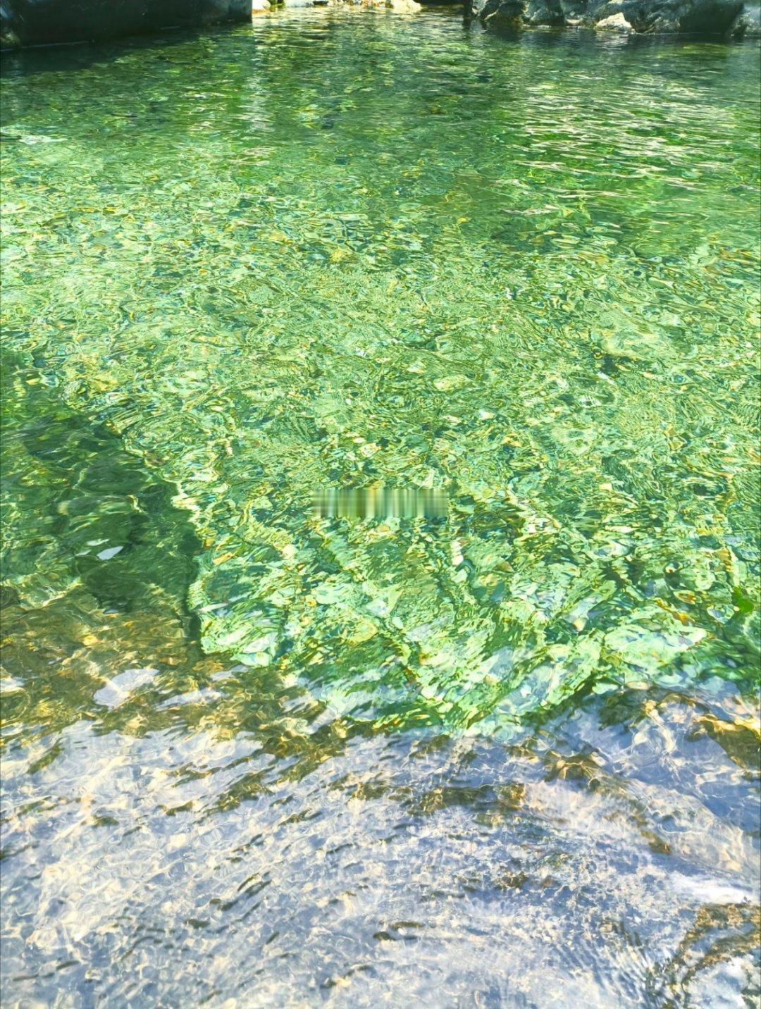 去山里面玩水🏞️呼吸一下新鲜空气，太舒服了！这水真的好清澈哦就是这该死的蚊子也