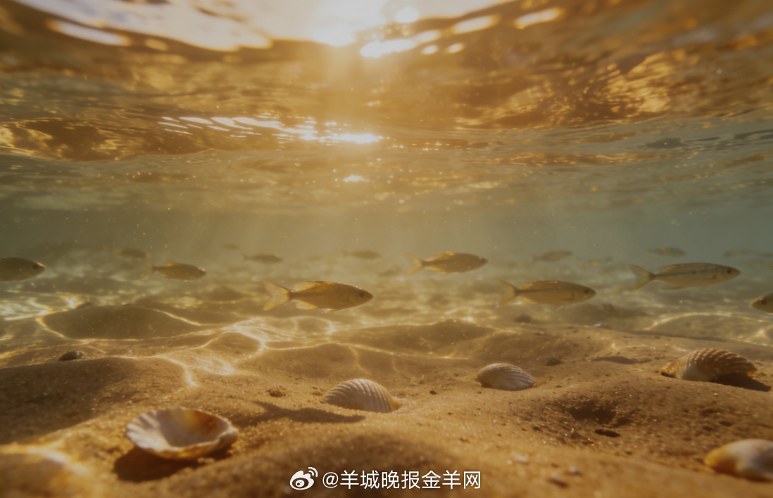 #早安# 阳光穿透澄澈的浅水海洋，光影温柔摇曳，自在漫游其间，被温柔的蓝与光轻轻