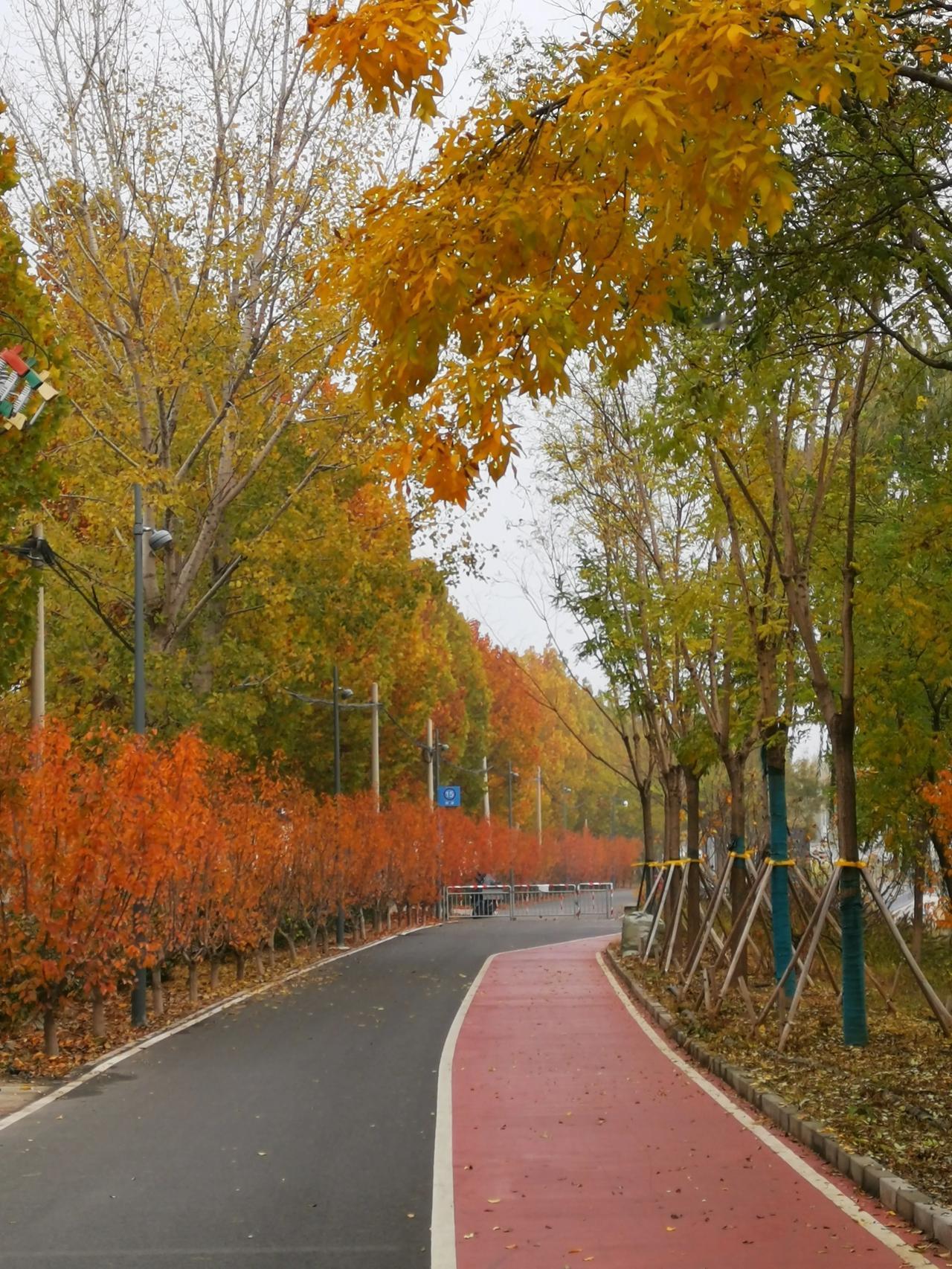 拍一张我的城市美景